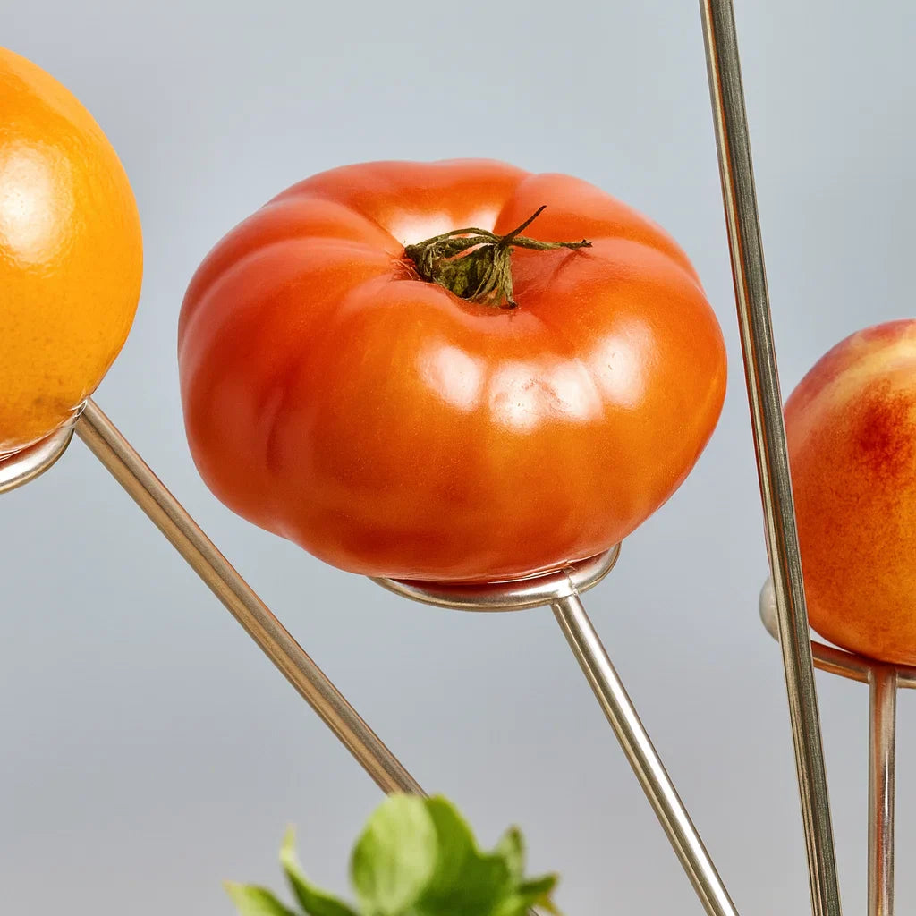 🍊🥑Modern Iron Multi-Layer Fruit & Snack Storage Rack